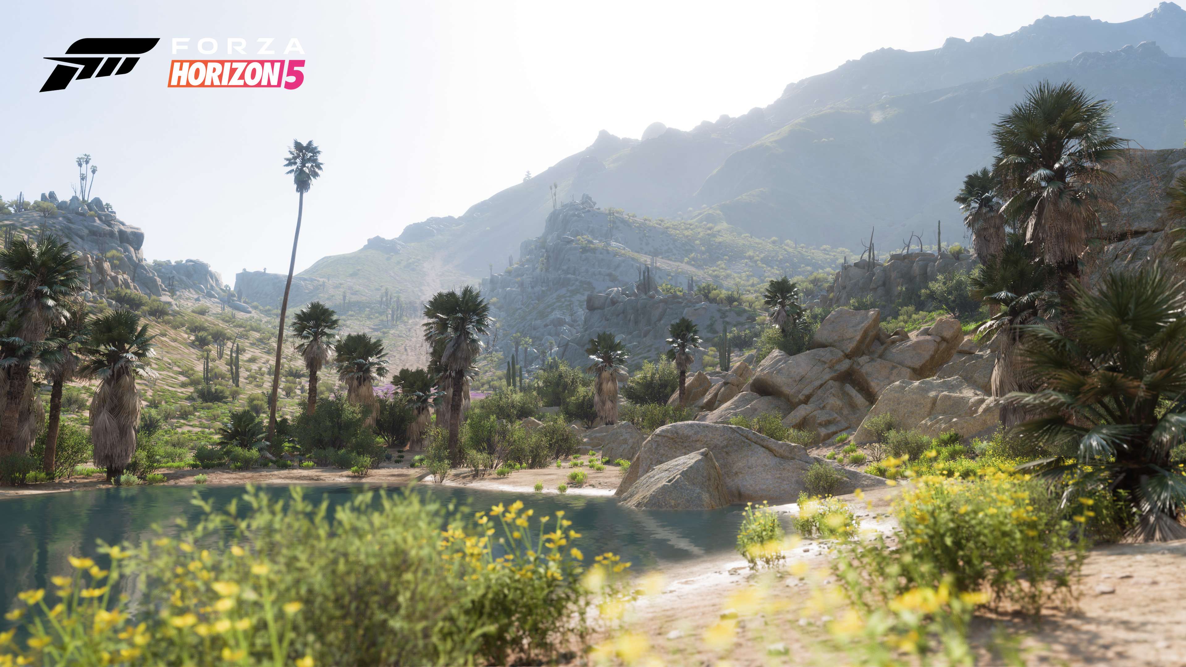 Forza Horizon 5 Living Desert