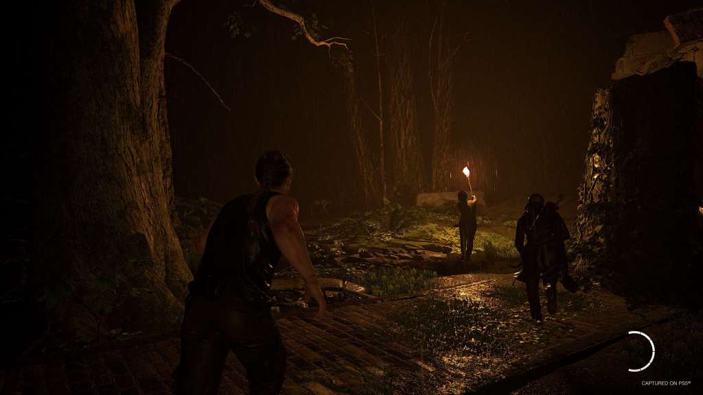 The Last of Us Part II Remastered