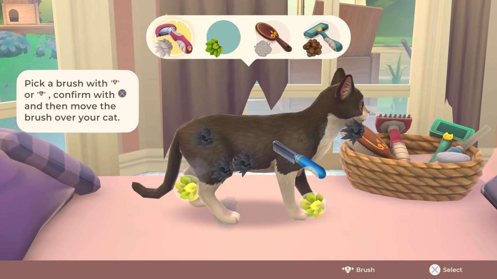 Review Cat Rescue Story