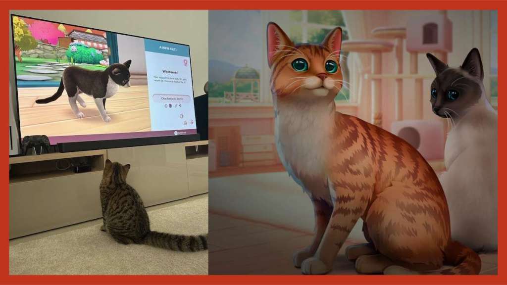 Cat Rescue Story review