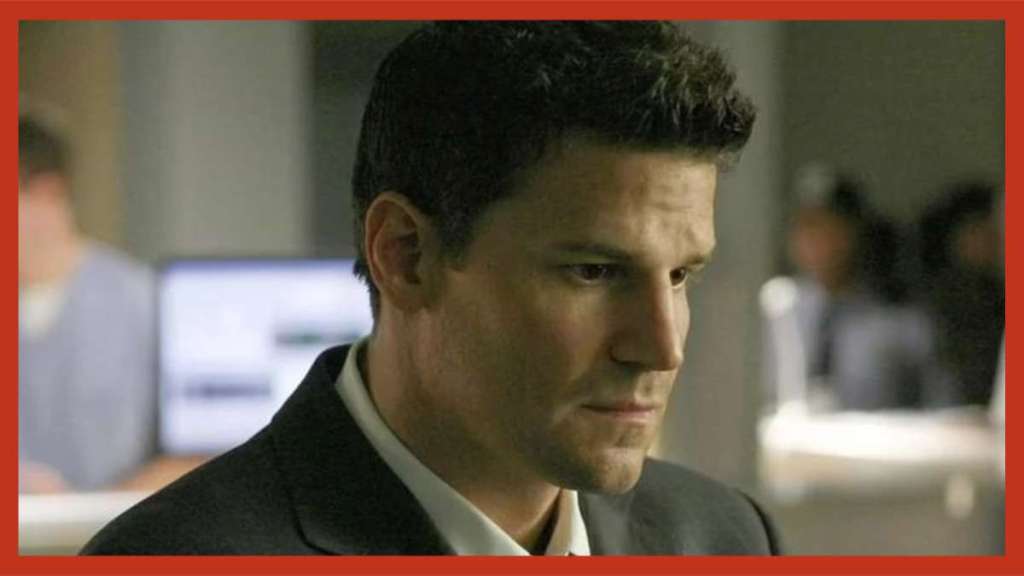 David Boreanaz facts