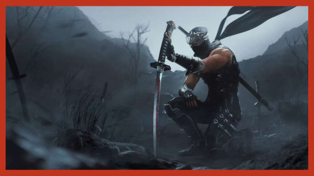 Ninja Gaiden 2 Black