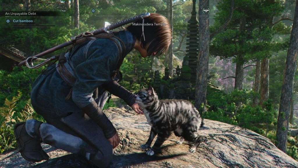 Assassin's Creed Shadows review