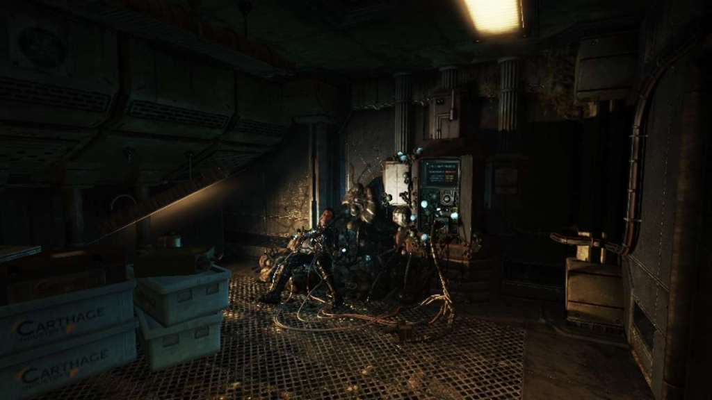 soma review