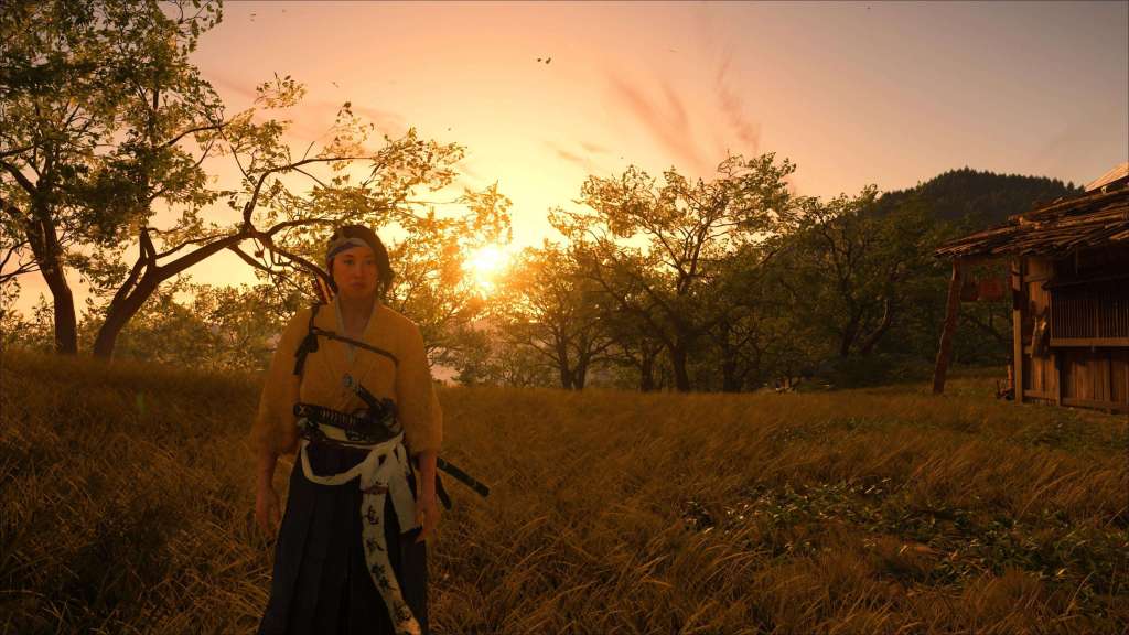 Ghost of Yōtei Yotei Review